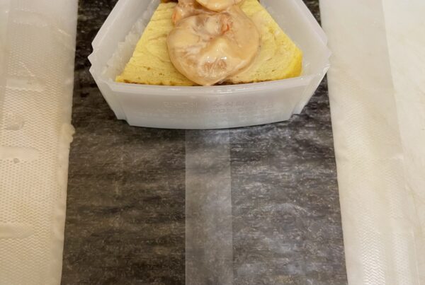 tamago and shrimps onigiri fresh sushi for businesses